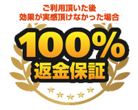 実感頂けなかった場合100%返金保証